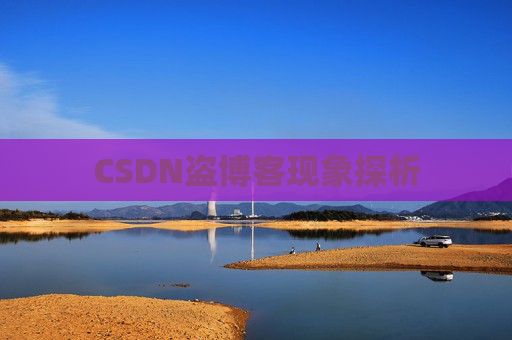 CSDN盗博客现象探析